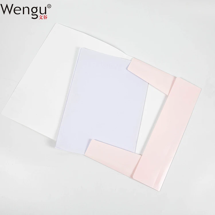 
Office and School Products Hot Sale Waterproof PP High Quality Customized Design A4 Size Double Elastic Folder 