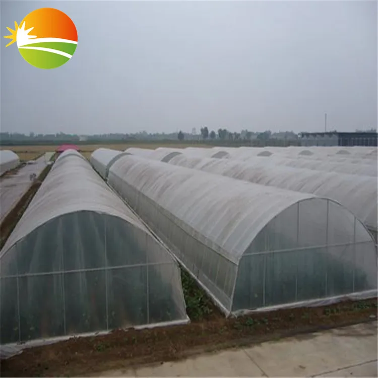 Tunnel plastic film green house