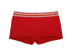 Factory Wholesale Print Boxer Lady Underpants Everyday Wear Soft Nylon Boxer Boyshort Panties for Women