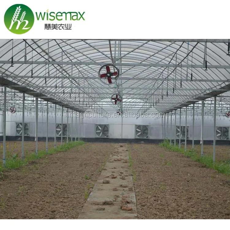 Hot sale wide range multi span greenhouses for agriculture production