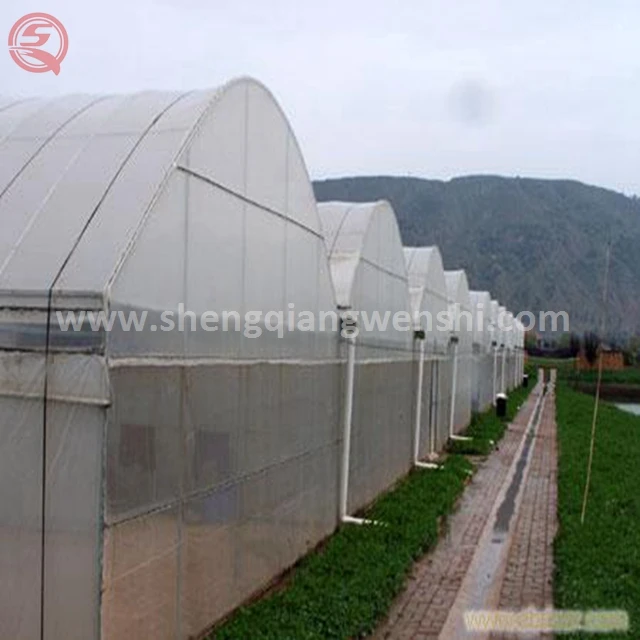 Low cost agriculture plastic film home multi span tunnel greenhouse for sale