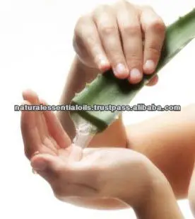 100% Pure Natural Organic Aloe Vera Gel in Bulk at wholesale price - Leading Exporter of Aloe Vera - Natural Body Moisturizer