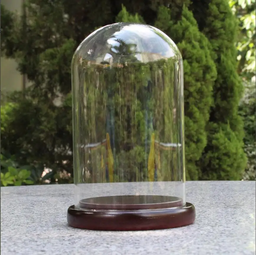 Factory Direct Sales Glass Doll Display Dome with MDF Base - D12cm * H 20cm