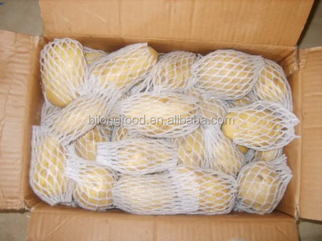 
wholesale new crop fresh holland potato (chinese product)2019 