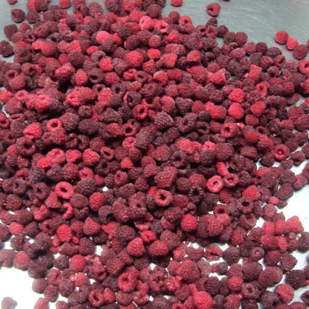 
Bulk Hot Export Fruit Products IQF Frozen Raspberry Cultivated Variety 95 5 70 30 