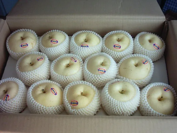 
fresh golden delicious singo pear factory 