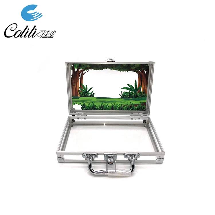 Factory custom DIY clear plastic transparent acrylic briefcase