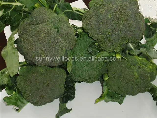
Deep iqf frozen broccoli cut cuts vegetable in 10kg carton 