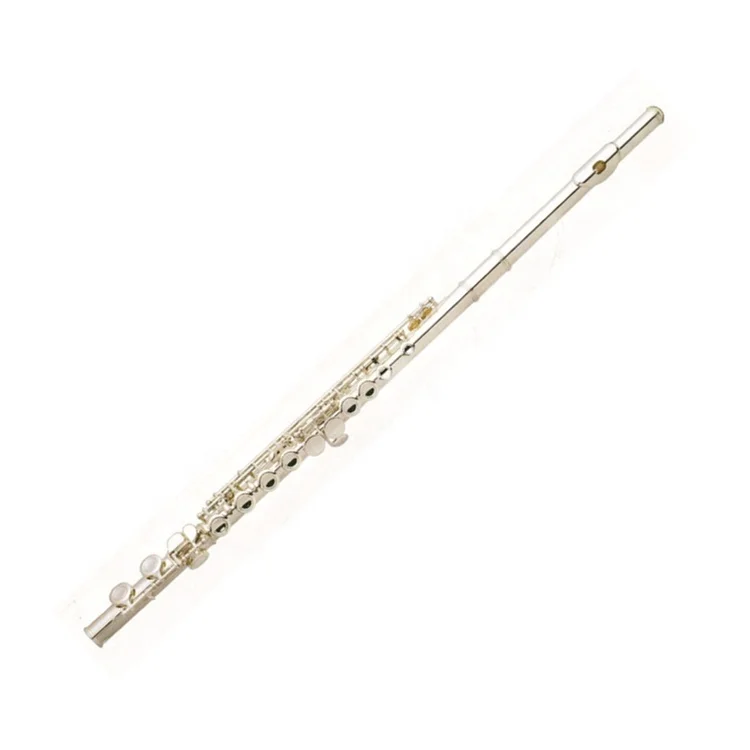 Popular grade 16 closed hole  Silver plated flute