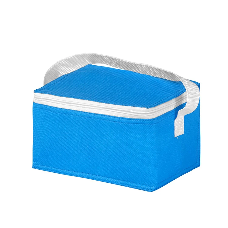 Non woven insulated disposable cooler bag