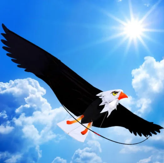3D Eagle Kite Outdoor Beach Kites Watersport Fun Sports Stunt Parafoil Parachute Folding Beach Kite For