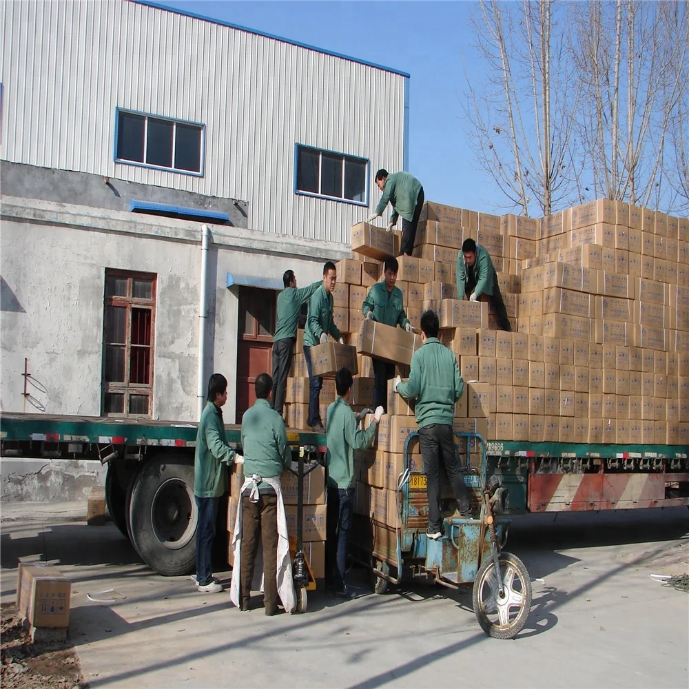 Medical science high quality and best price Liver anatomical model for teaching and learning