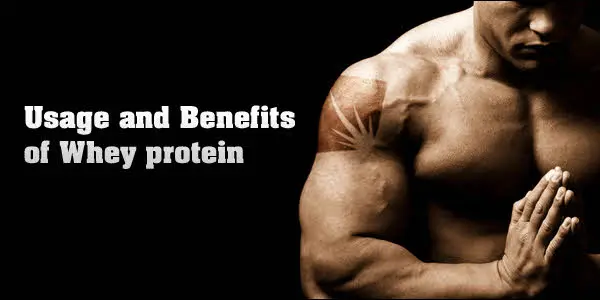 Оптовая продажа, питание, 100% натуральный сывороточный протеиновый порошок, частная этикетка