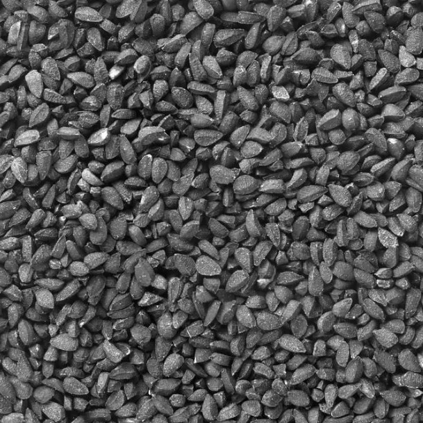 
S539 Yang Cong 100% Pure Nature Chinese Vegetable Red Onion Seeds For Planting 