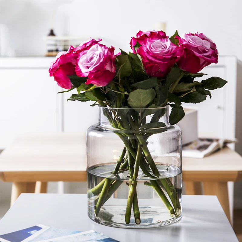 Clear Vintage Style Modern Cylinder Glass Vase Flower Vases for Wedding