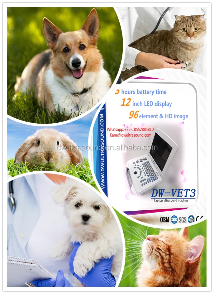 DW-VET2 full digital ultrasound scanner for veterinary/USG scanner instrument with competitive price pet hospital