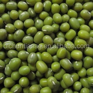 
organic mung bean 