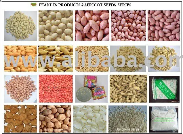 Peanuts Series Products