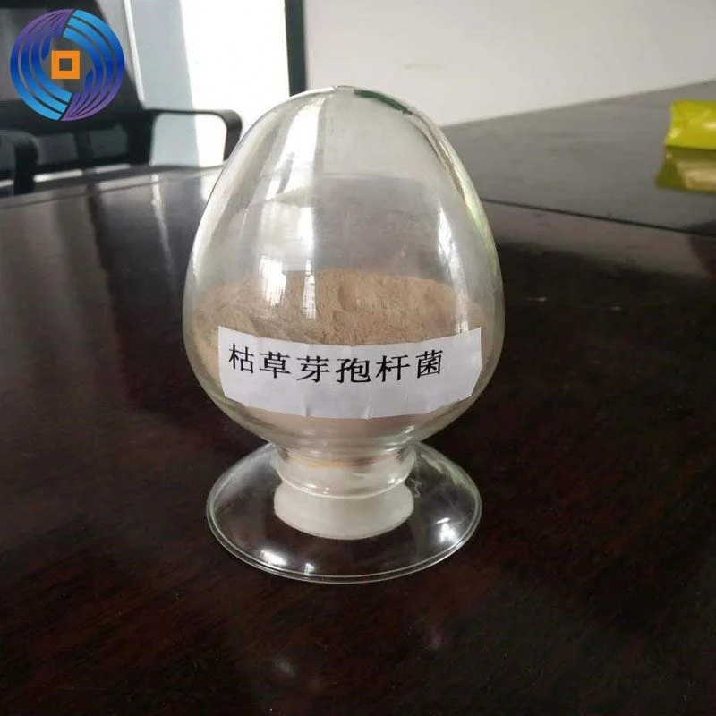 
Microbe Bacillus Subtilis 1200billion(1.2 Trillion)CFU/g and 100% Water Soluble 