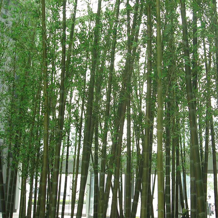 Realistic Decoration Artificial Indoor and Outdoor Decorative Trees Plastic Bamboo Fence
