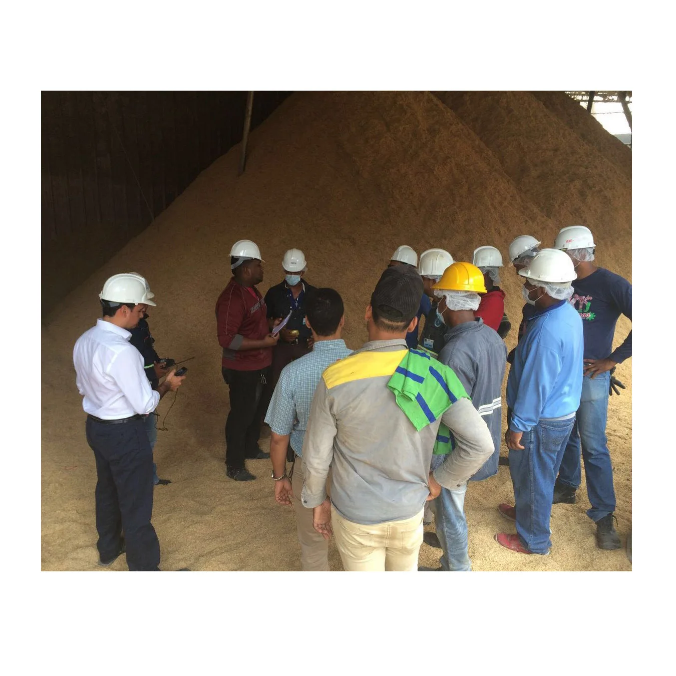 biomass gasifier price/small biomass gasifier generator