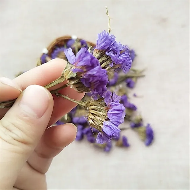 Wu wang wo 100% натуральный органический сушеный цветок не забудьте о мне