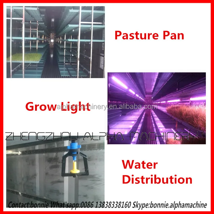Hydroponic Automatic Barley fodder machine system / cattle green fodder growing machine / mung bean sprouts making machine