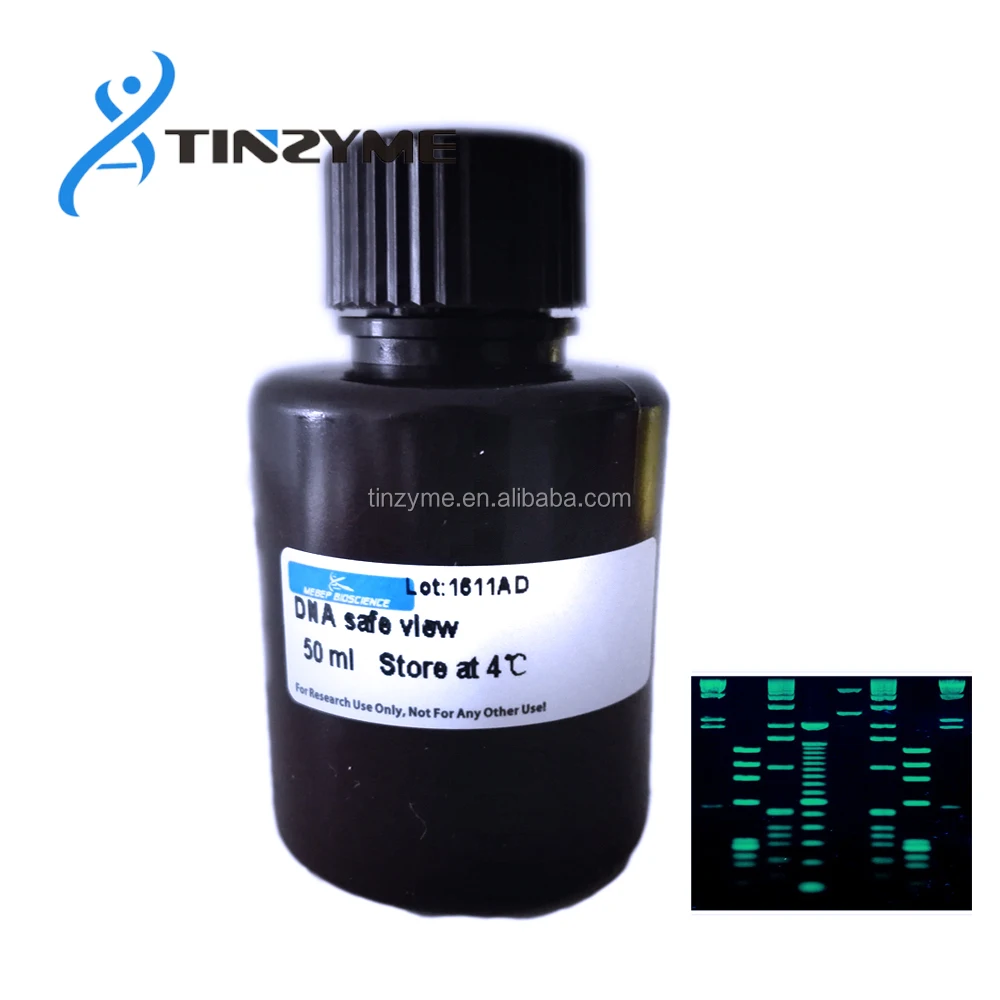 
DNA safe Stain DNA dye 