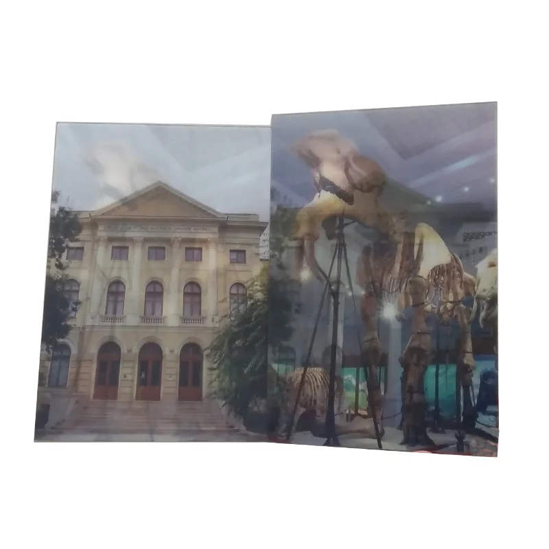 custom printing 3d lenticular business card