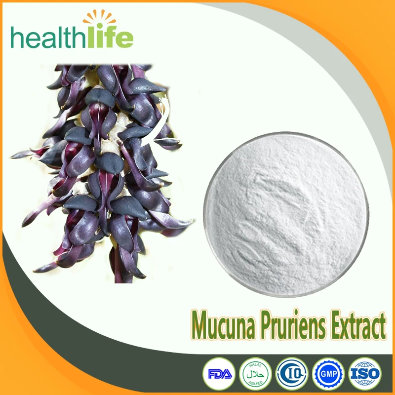
High Purity Mucuna Pruriens Extract 98% L-dopa Powder 