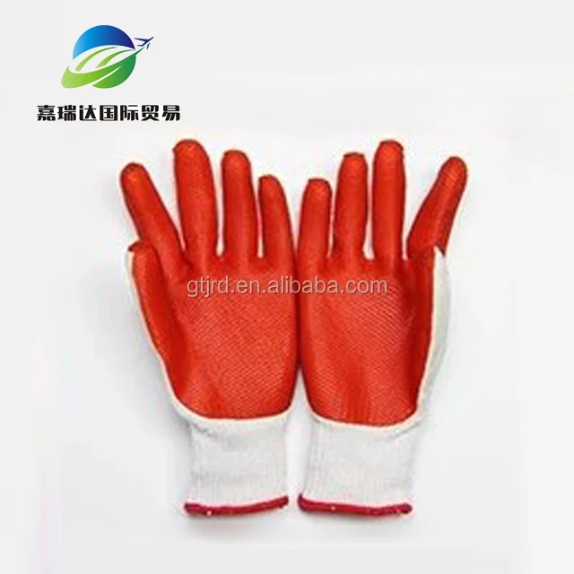 Red Rubber Palm
