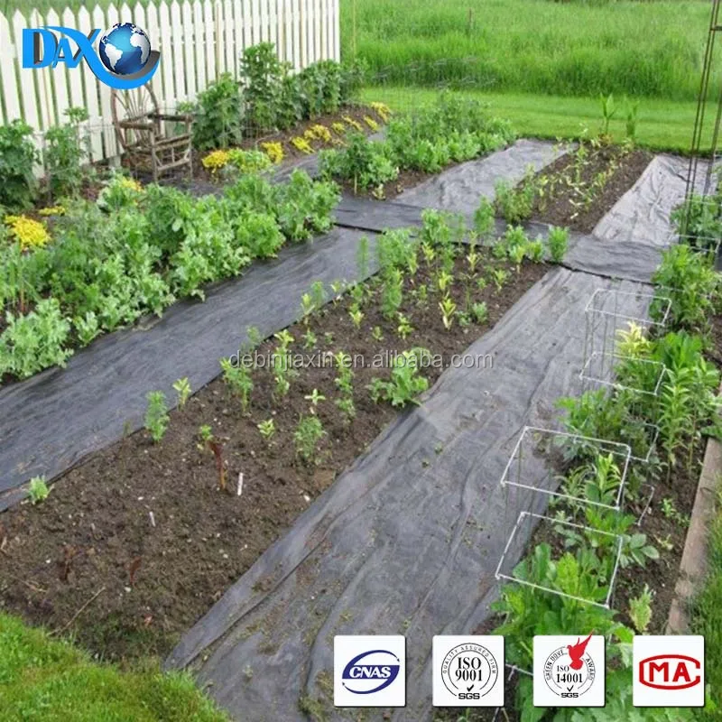 
polypropylene ( pp) slit film woven Weed Control Ground Cover Membrane Landscape Fabric 