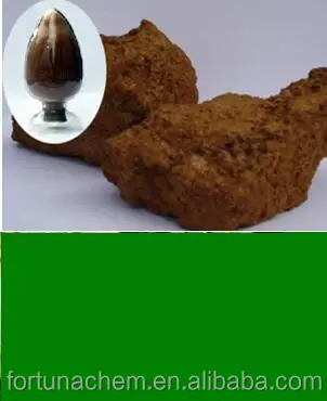 
Chaga Mushroom Extract 