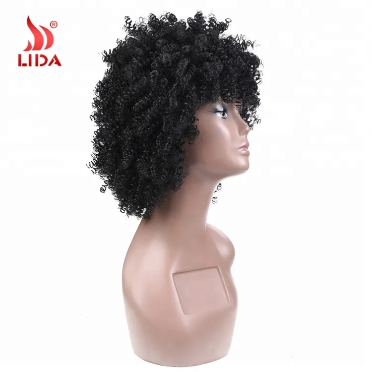 Lida Long Nature Wave Synthetic curls braids Wigs #2/33 Black braiding bouncy curly Hair 6572 wig