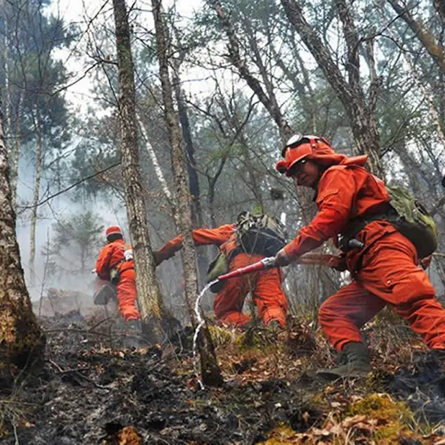 Greatest Forest Fire Fighting for forest wildfire