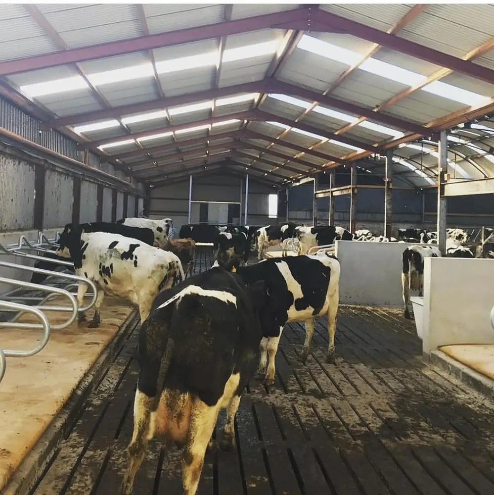 Недорогой Легкий Стальной конструктор конструкция здания домашний сарай для домашнего