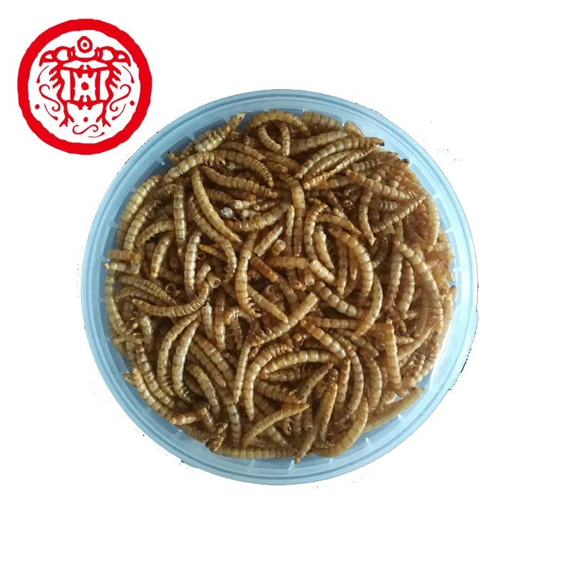 
Live Dried Mealworm Bird Food Pet Feed Additives 