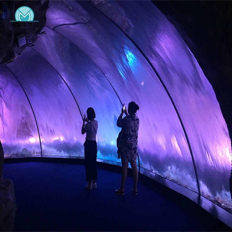 2023 exclusive custom finely crafted elegant new product tank plants aquarium tunnel