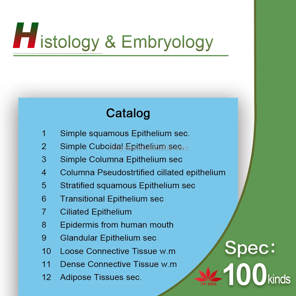 Most popular fixed set 100pcs set wooden box histology slides,human histology slides,Animal histology slides