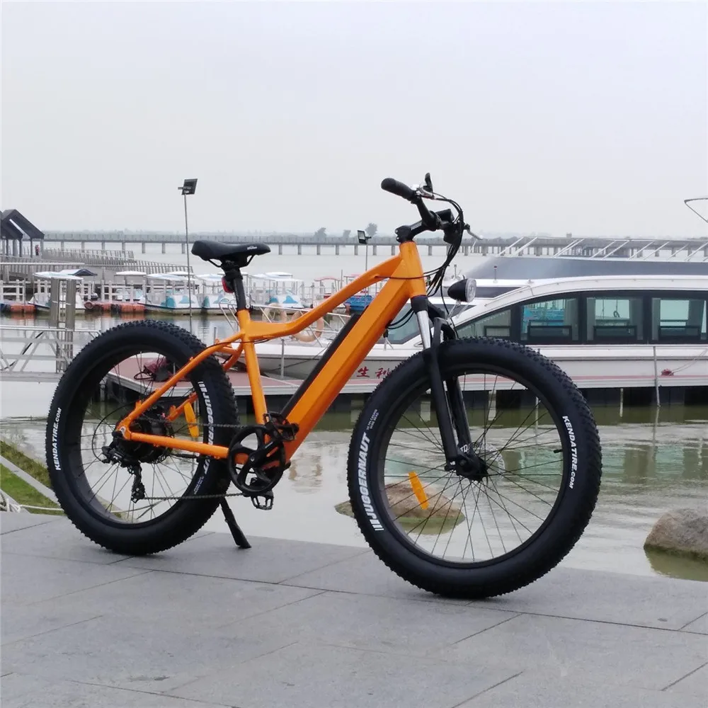 2019 Mofun mountain electron bike mountain electron bicycle MTB fat ebike from China MF-906