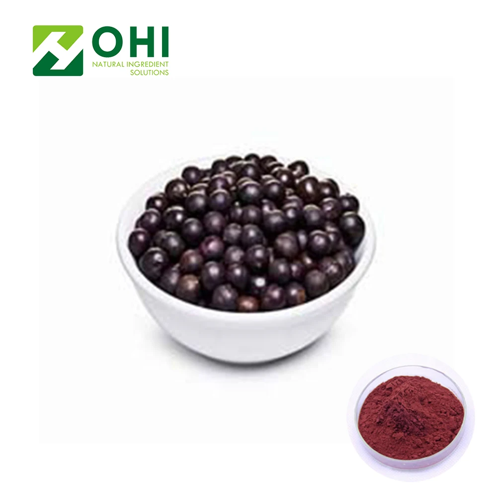 high quality Euterpe badiocarpa Natural acai berry Extract powder frozen acai berry