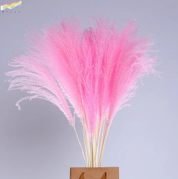 Сушеная пампасная трава тростник Натуральные сушеные цветы нефрагмиты декоративные перья тростник трава высокая трава