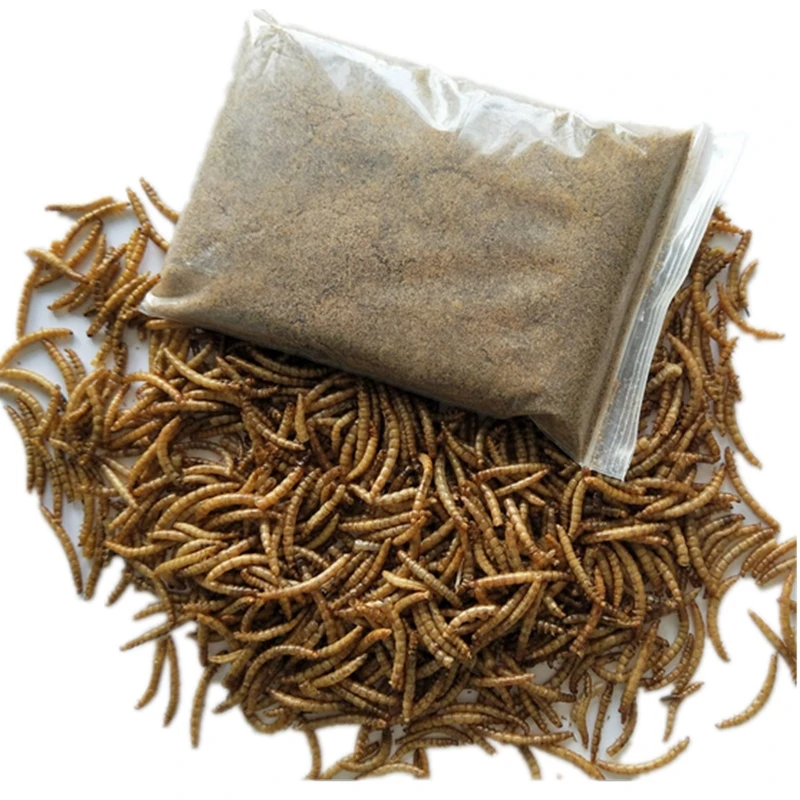 DRIED MEALWORMS Wild Birds Food 75g DRIED MEAL WORMS