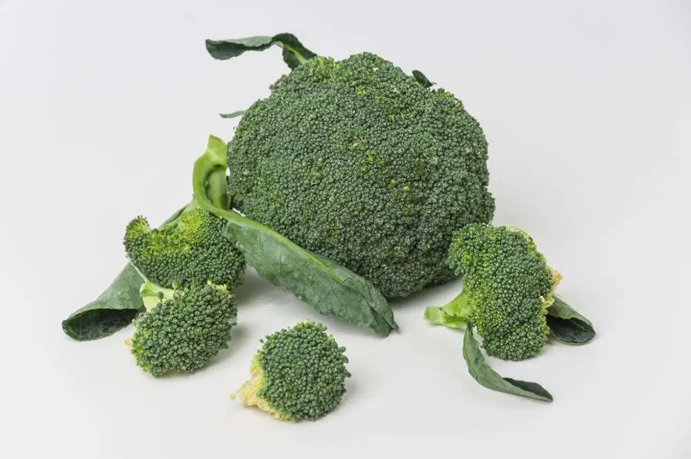 fresh natural broccoli seeds
