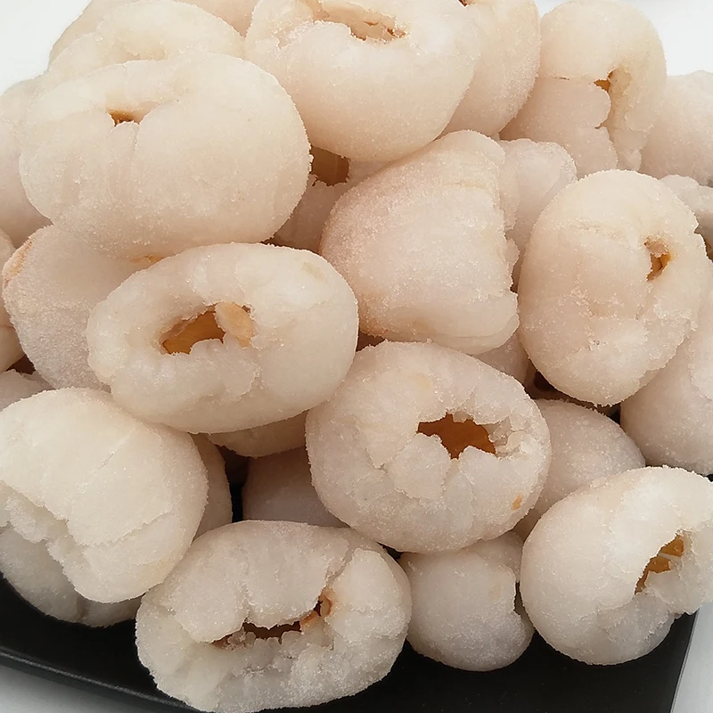 
Best freeze dried lychee fruit products manufacturers 