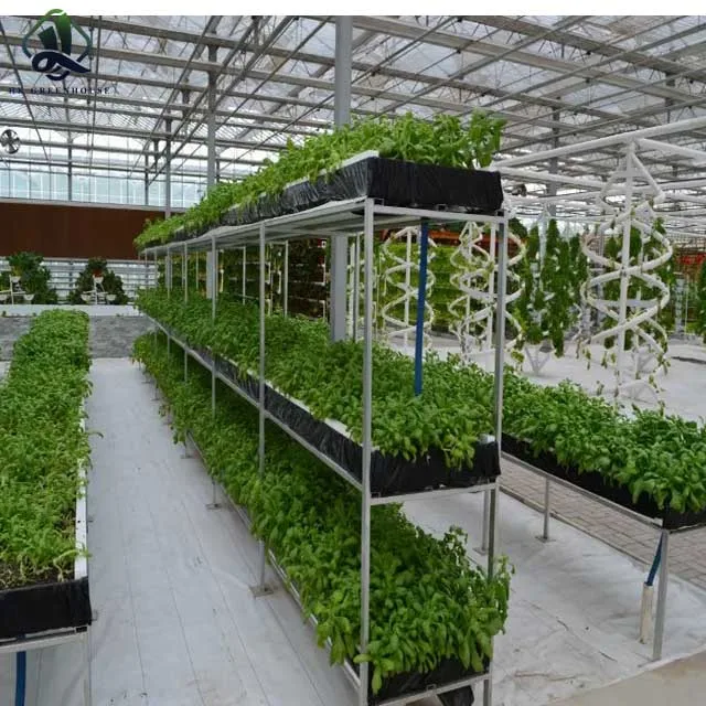 Complete Hydroponic System for growing vegetable in greenhouse
