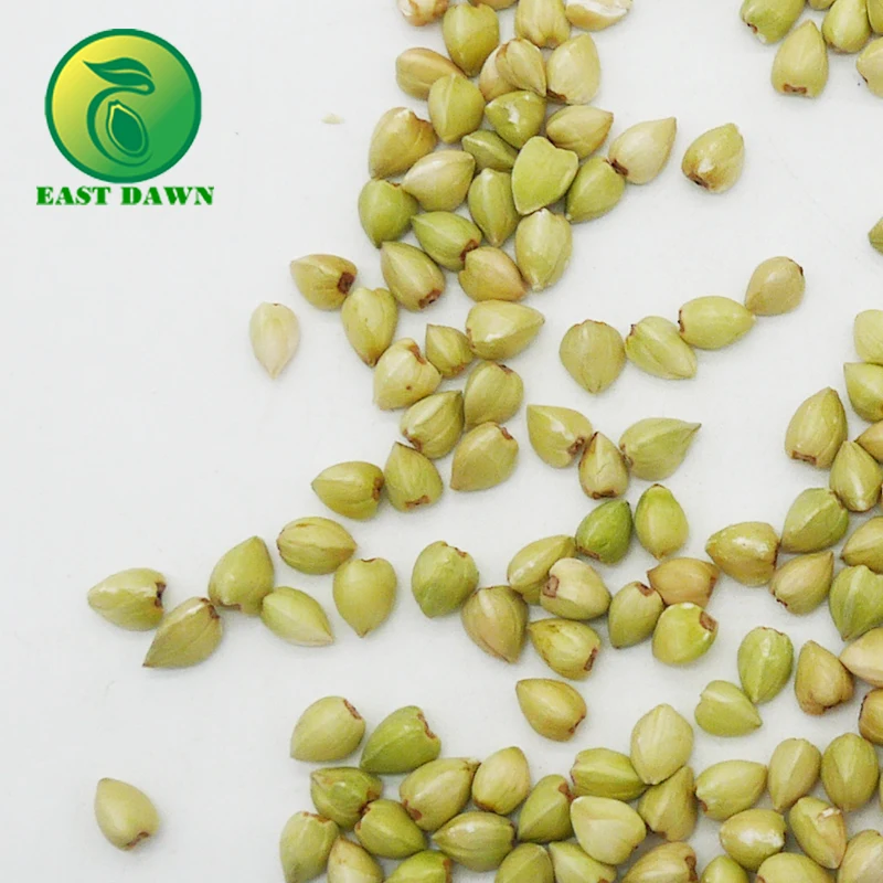 Оптовая продажа гречихи, гречихи