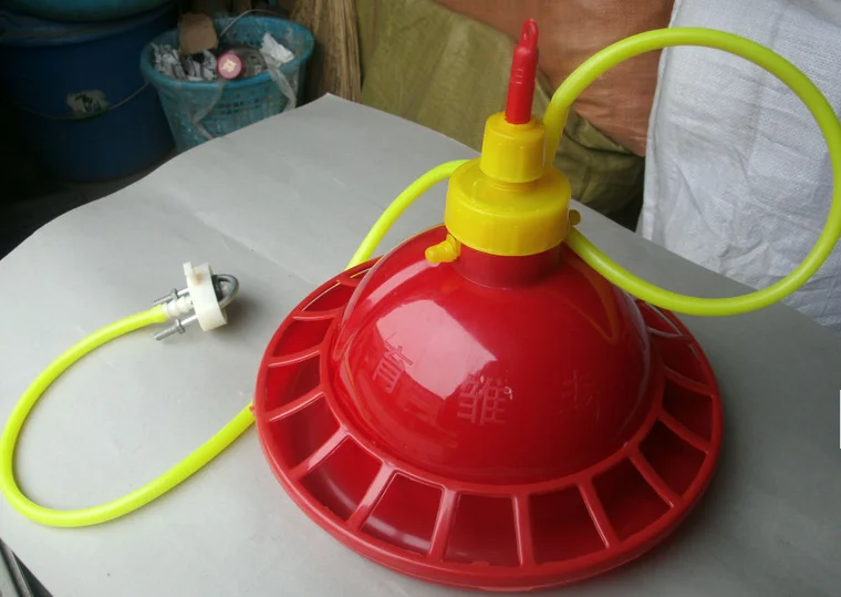 automatic drinker for chicken hen poultry and feeder with best price