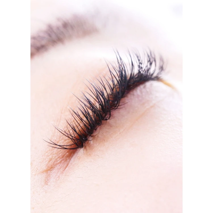 Lively D+ Curl Split Tips Flat Eyelash Extension Wholesale 0.12