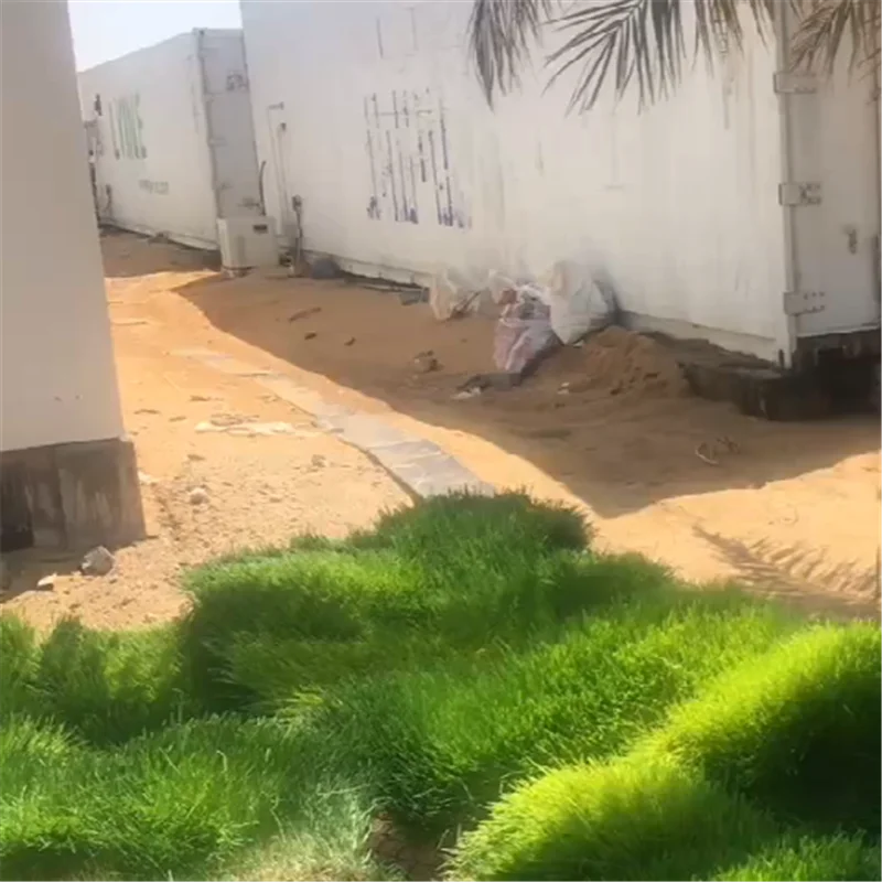 2020 Hydroponic seeds germinate machine/green fodder making barley breeding room/automatic bud seedling equipment